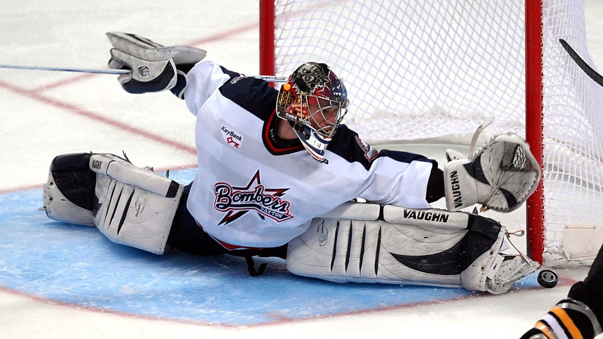 德约科维奇新星问鼎冠军表现惊艳，C9未来可期！